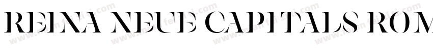 Reina Neue Capitals Roman字体转换